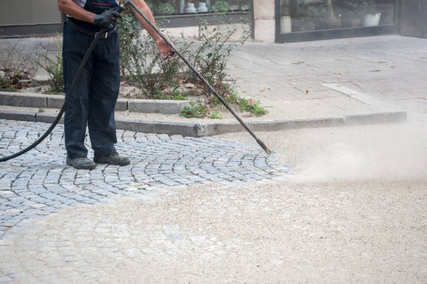 Best Residential Exterior Washing  in Granite Hills, CA